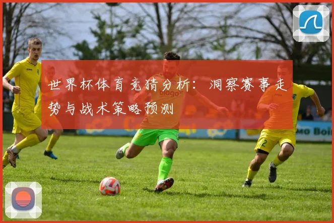 世界杯体育竞猜分析：洞察赛事走势与战术策略预测