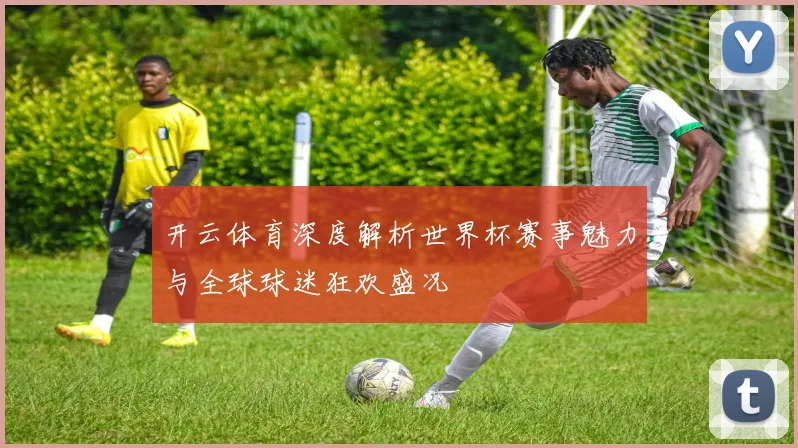 开云体育深度解析世界杯赛事魅力与全球球迷狂欢盛况