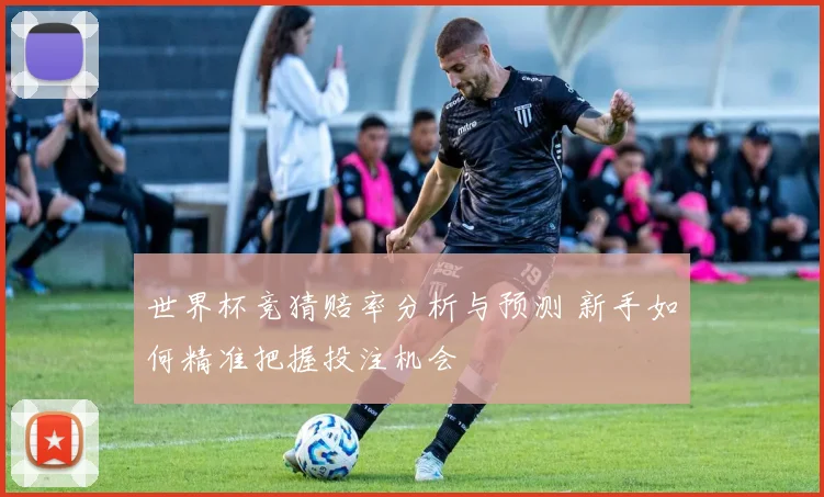 世界杯竞猜赔率分析与预测 新手如何精准把握投注机会