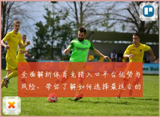 全面解析体育竞猜入口平台优势与风险，带你了解如何选择最适合的投注方式