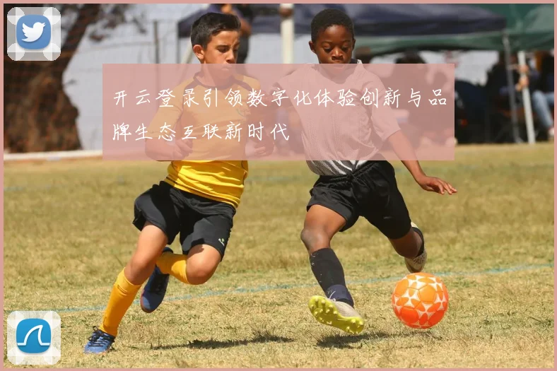 开云登录引领数字化体验创新与品牌生态互联新时代