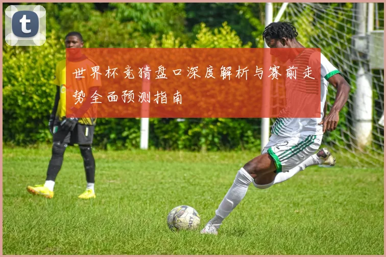 世界杯竞猜盘口深度解析与赛前走势全面预测指南