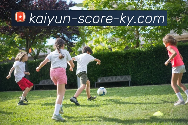 开云平台生态图